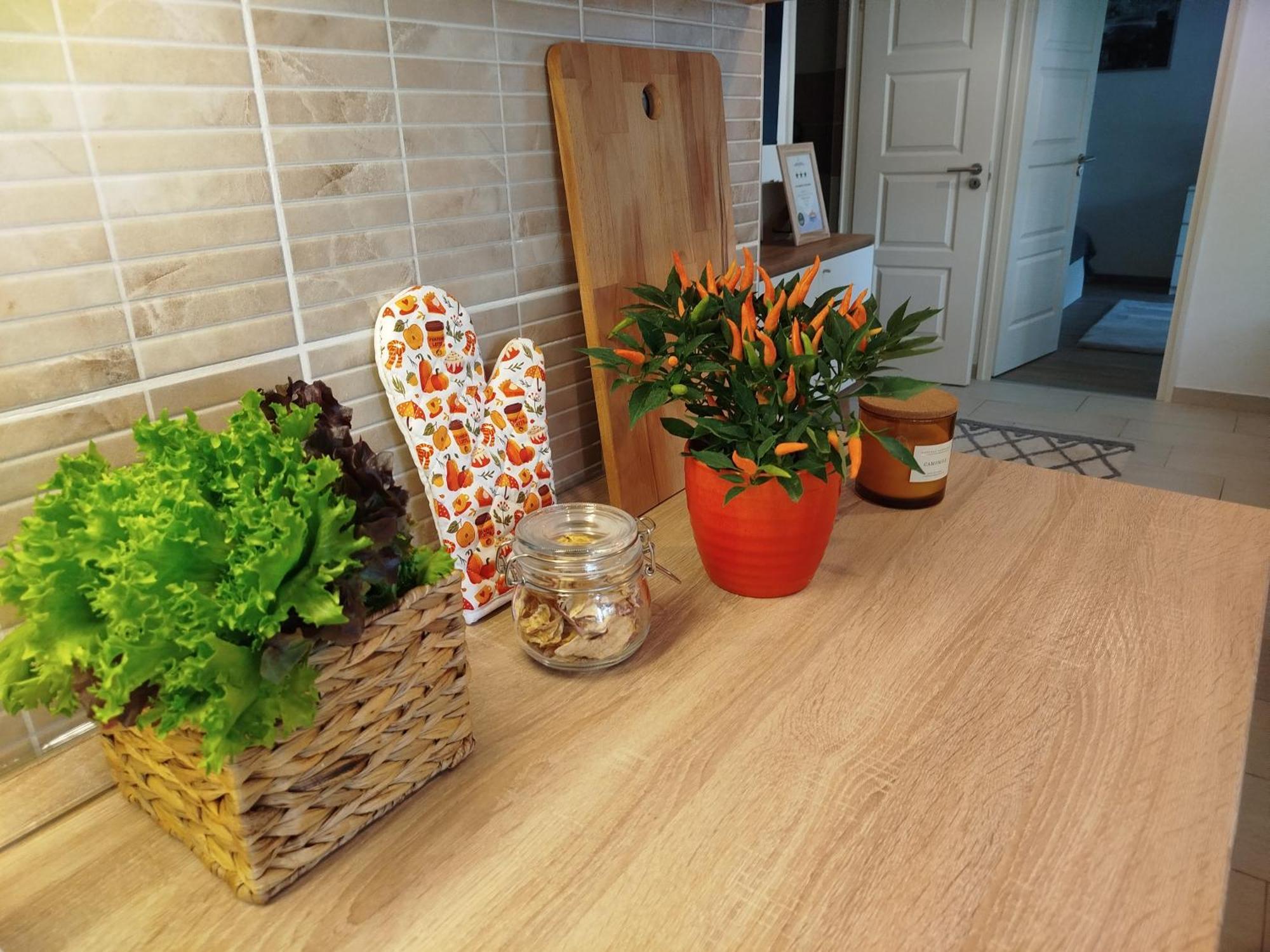 Lady Mabel'S Apartment Near To Arena, Puskas Stadion And City Park, With Guarded Parking Place Budapest Esterno foto
